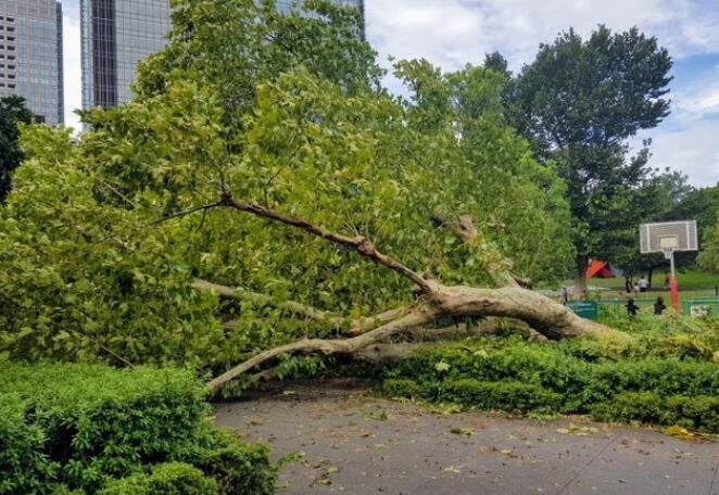 臺(tái)風(fēng)法茜襲擊日本 雨風(fēng)